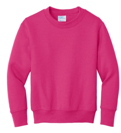 Spotlight Sweatshirt- Youth