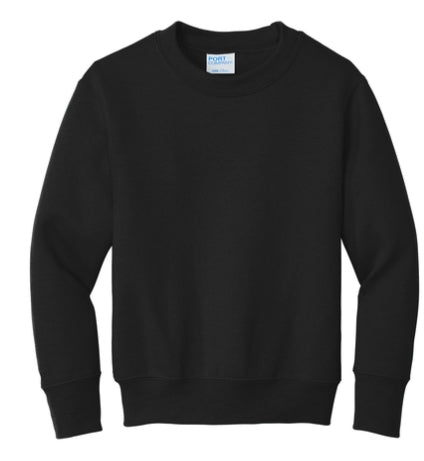 Spotlight Sweatshirt- Youth