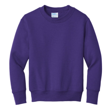 Spotlight Sweatshirt- Youth