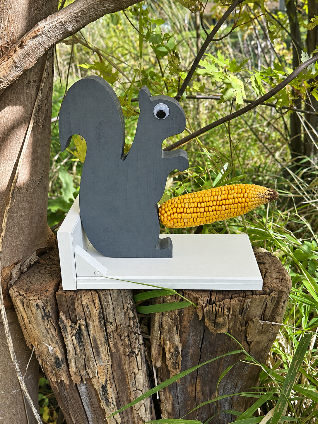 Squirrel Feeder