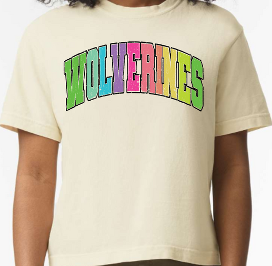 Boxy Colorful Mascot T